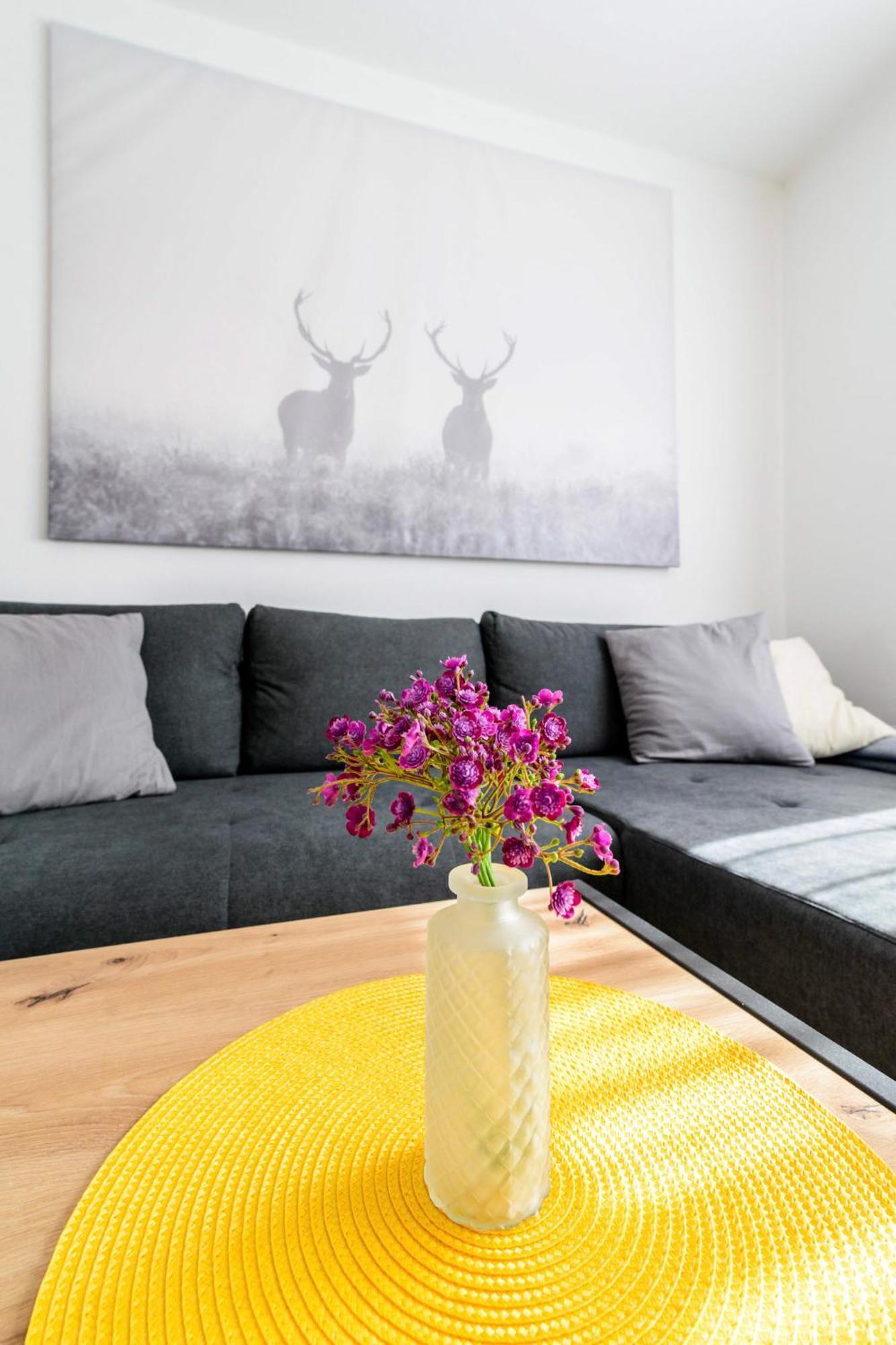 Traunkai Apartments Bad Ischl Extérieur photo